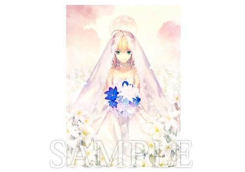 Amazon.co.jp: TYPE-MOON Fes. セイバー B0タペストリー fate : おもちゃ